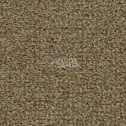 Грязезащитные покрытия Forbo Coral Classic 4774 khaki фото 1 | FLOORDEALER
